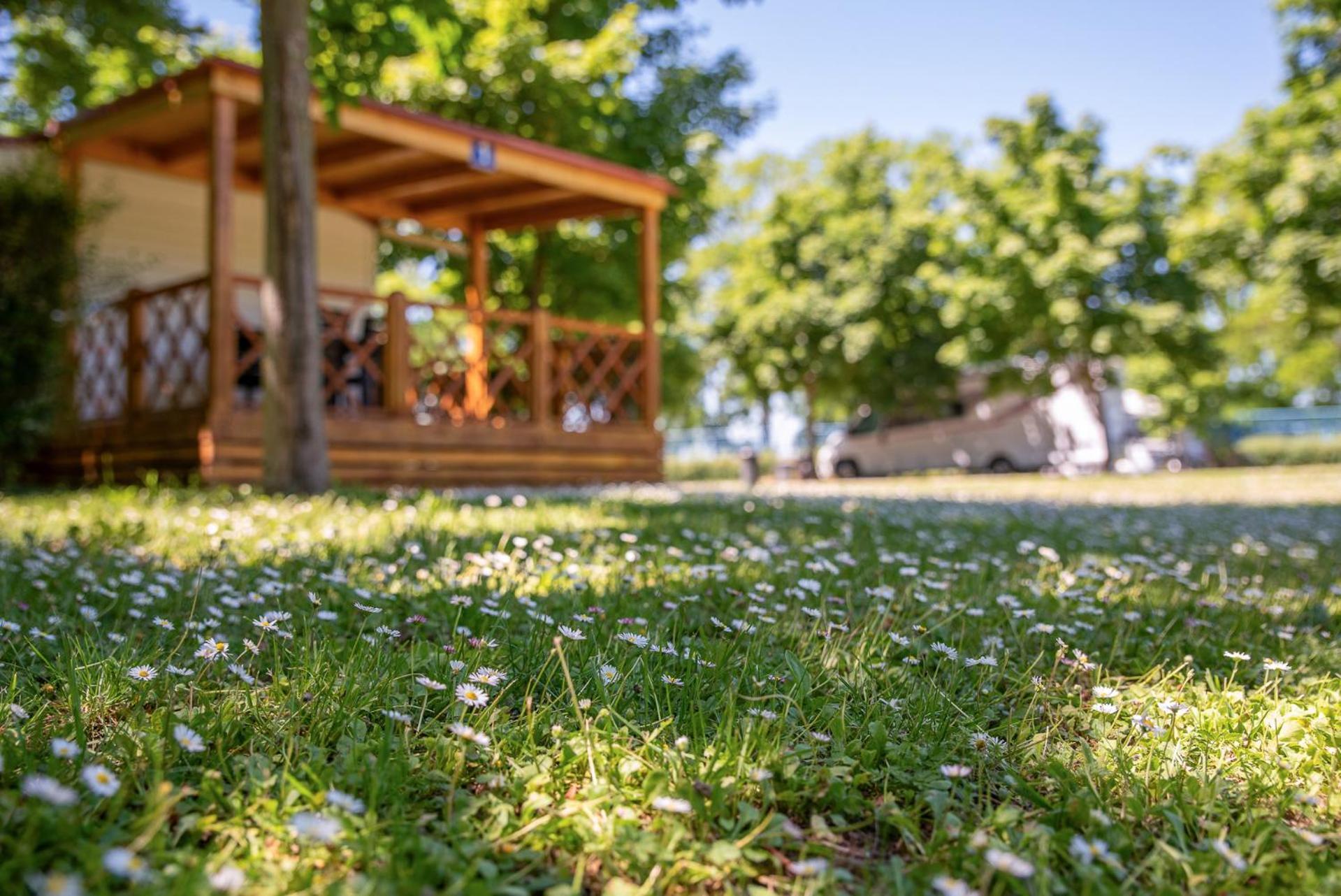 Hungarospa Thermal Camping Mobilhaz Hajdúszoboszló 外观 照片
